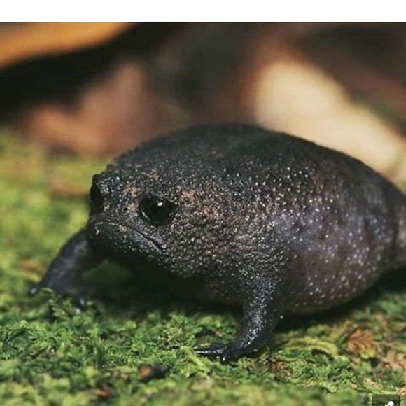 Offers - Picture 1 of 1